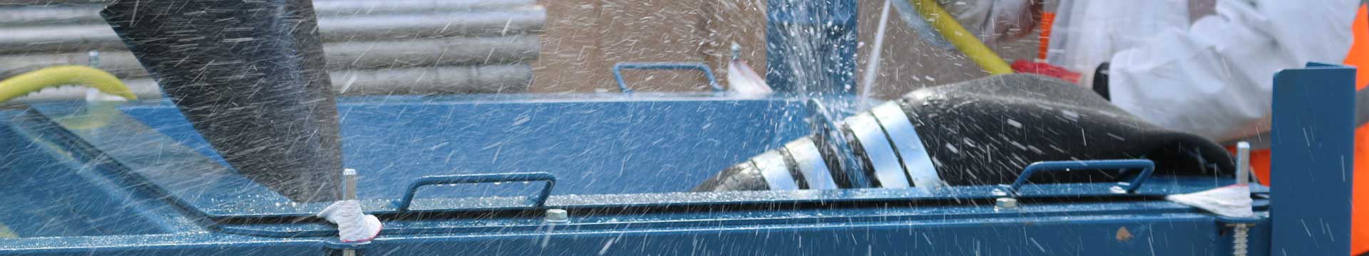Conquip Concrete Lifecycle Management: Maintenance
